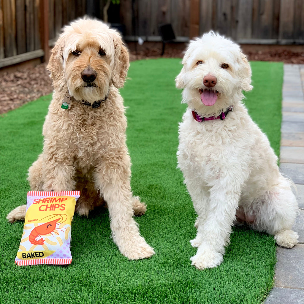 Shrimp Chips Dog Toy